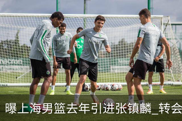 曝上海男篮去年引进张镇麟 转会费投入超5000万