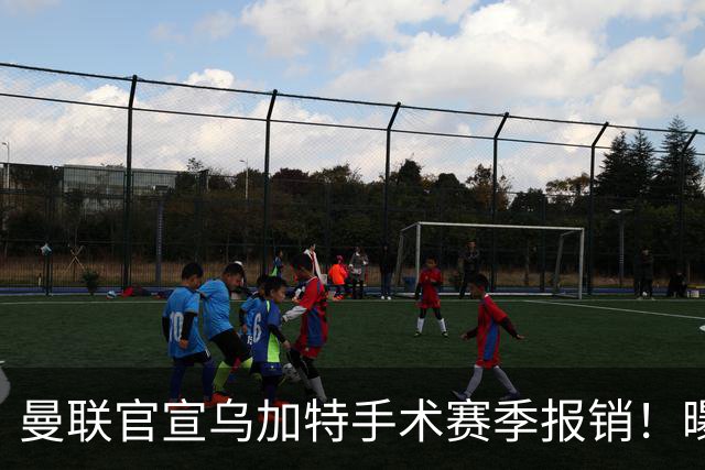曼联官宣乌加特手术赛季报销！曝下笔引援人选，不会8000万买铁腰