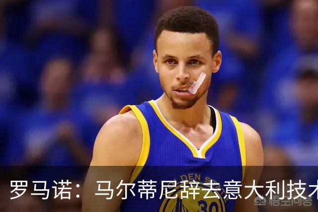 罗马诺：马尔蒂尼辞去意大利技术总监一职，莱昂纳多辞去顾问职务