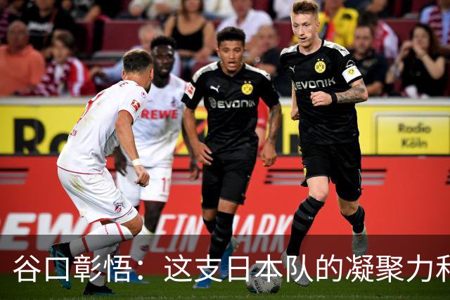 谷口彰悟：这支日本队的凝聚力和团队精神，是我生涯见过最强的